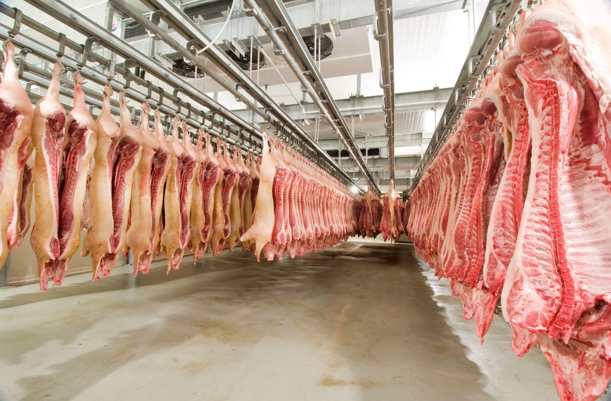 Abattoir Valuation: Which approach is right for your business?